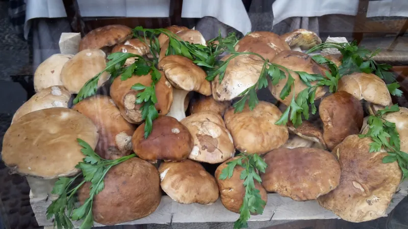 Bild von Asso Di Fiori Osteria Dei Formaggi
