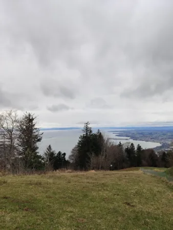 Bild von Gasthaus Pfänderspitze