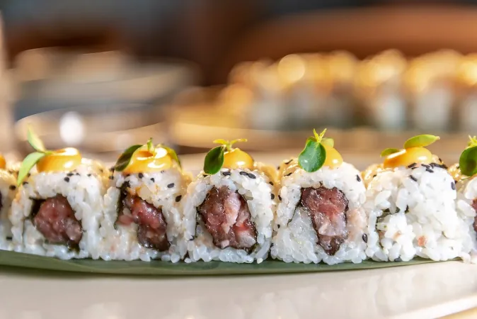 Shabu Casatenovo