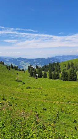 Bild von Bergrestaurant Niedere