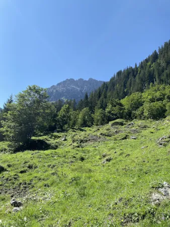 Bild von Bernhards Gemstel Alp