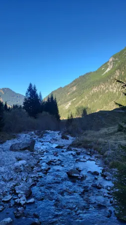 Bild von Bernhards Gemstel Alp