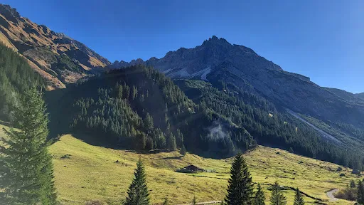 Bild von Bernhards Gemstel Alp