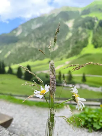 Bild von Bernhards Gemstel Alp