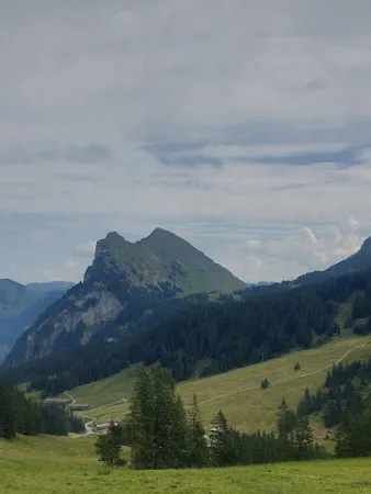 Bild von Alpe Wildgunten