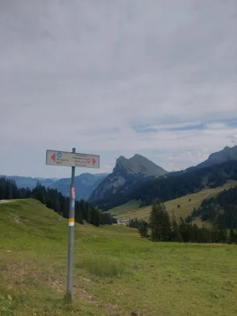 Bild von Alpe Wildgunten