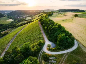 Winzerhof Stahl · Weingut · Fine Dining Restaurant · Gästezimmer · Hochzeitslocation