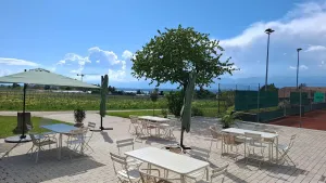 Côté Vignes