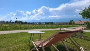 Côté Vignes