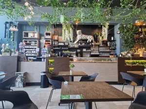 Lady green bar