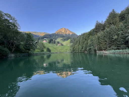 Bild von Seewaldsee