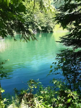 Bild von GH Seewaldsee