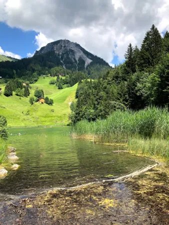 Bild von GH Seewaldsee