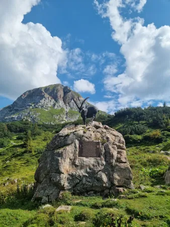 Bild von Alpe Formarin