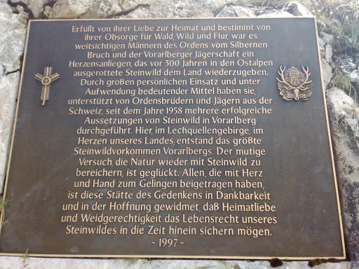 Bild von Alpe Formarin