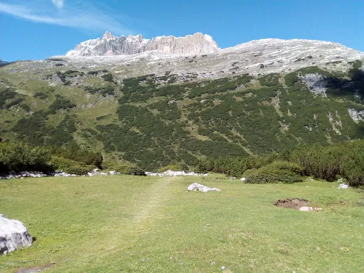 Bild von Alpe Formarin