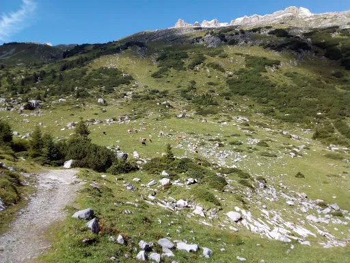 Bild von Alpe Formarin