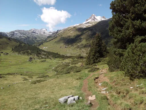 Bild von Alpe Formarin
