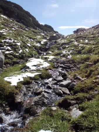 Bild von Alpe Formarin