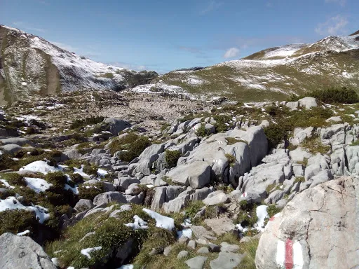 Bild von Alpe Formarin