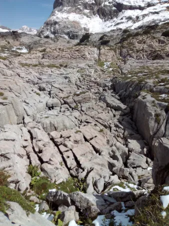 Bild von Alpe Formarin