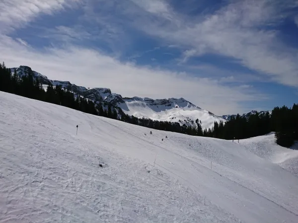 Bild von mi ma