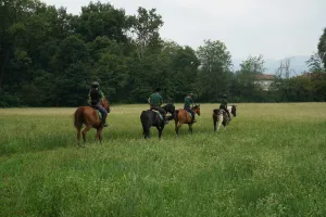 Agriturismo il Pivione