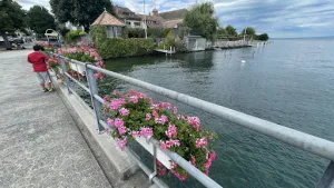 Buvette du port