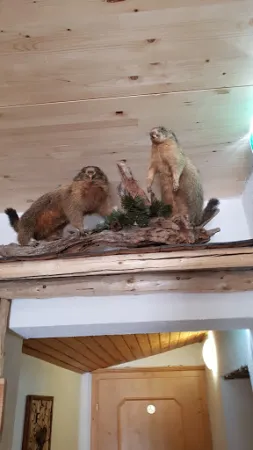 Bild von Zillertaler Schi-Alm