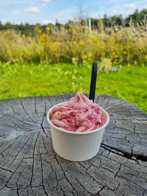 Kreafine – Real Fruit Ice Cream