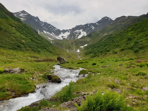 Bild von Obere Wasserstubenalpe