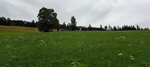 Bild von Gauxerstadl