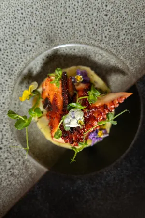 Bild von La Piazza Zone