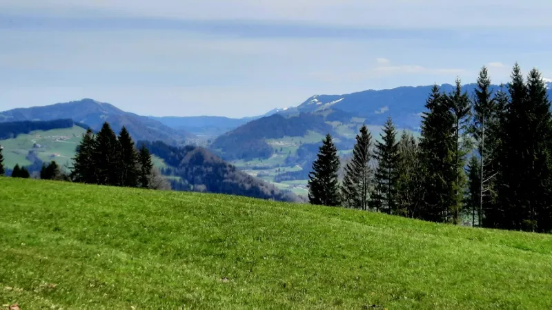 Bild von Waltraud Herrmann