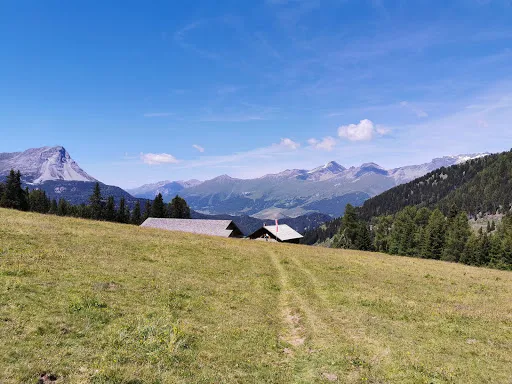 Bild von Piengalm