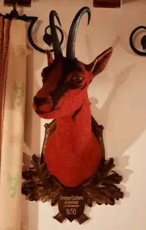 Bild von Gasthof Rauth-Hof