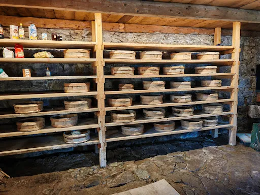 Bild von Nessleralm