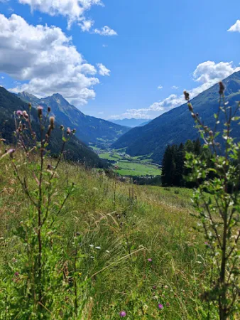Bild von Nessleralm