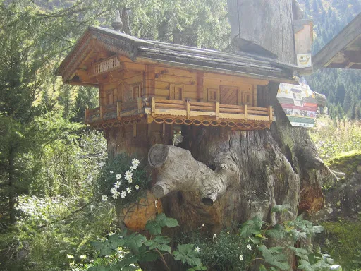 Bild von Laponesalm