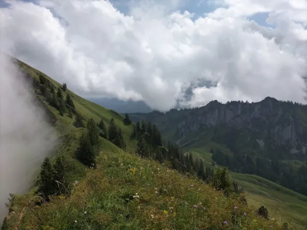 Bild von Daniela Widl