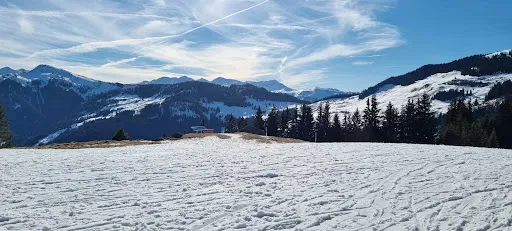 Bild von Marchbachjochalm