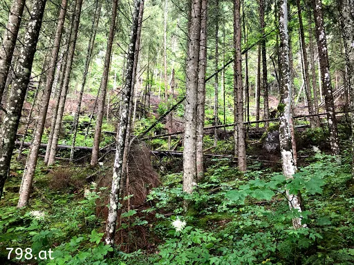 Bild von Gasthaus Seebauer