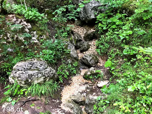 Bild von Gasthaus Seebauer