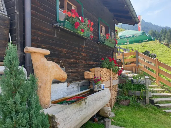 Bild von Tessa Eijselendoorn