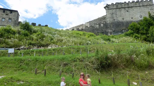 Bild von Restaurant Burg Landskron