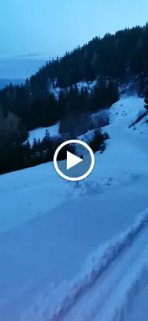 Bild von Moselebauer Hütte