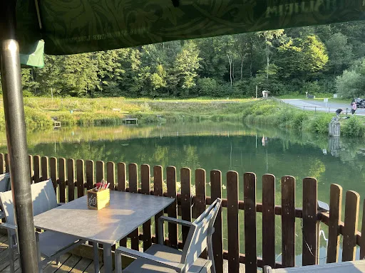 Bild von Forellenstation am Prefelnigteich