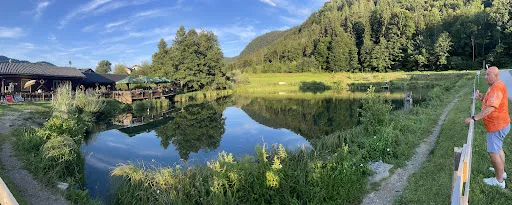 Bild von Forellenstation am Prefelnigteich