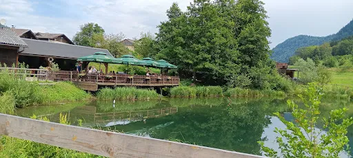 Bild von Forellenstation am Prefelnigteich