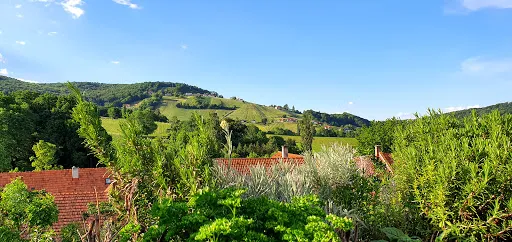Bild von Weinhof Josef Scharl